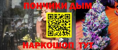 дмт Будённовск