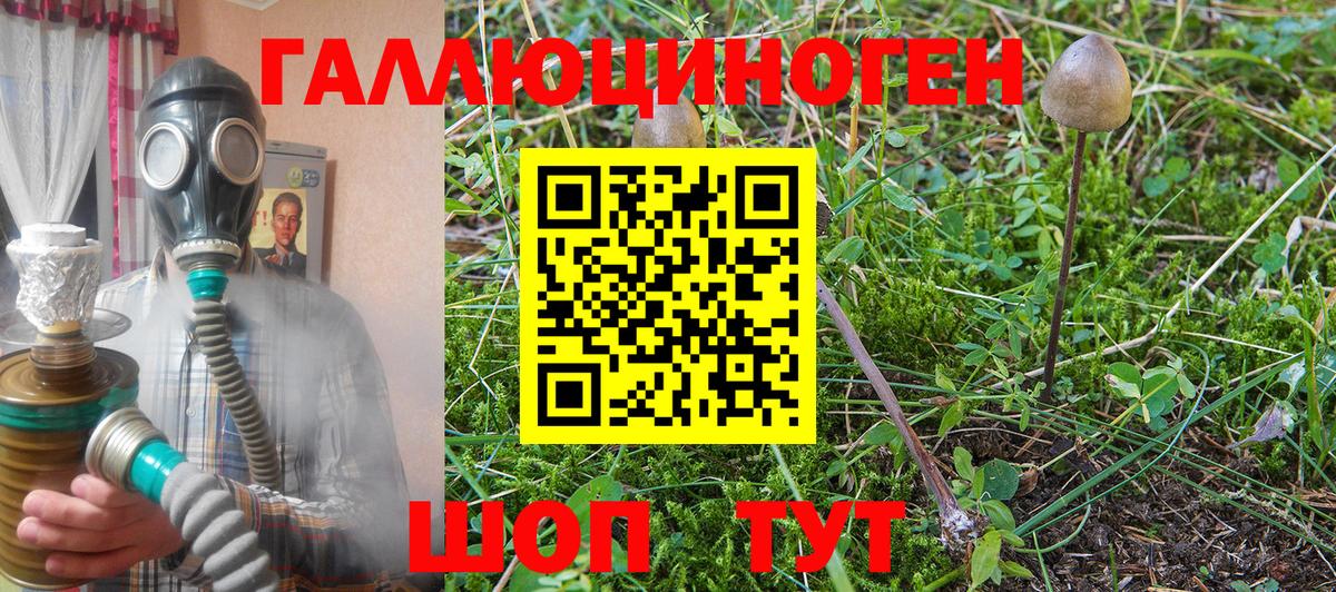Галлюциногенные грибы мицелий Обь