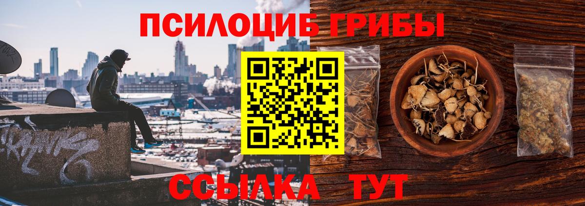 Галлюциногенные грибы прущие грибы  Вход с VPN  Обь 